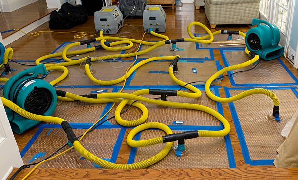 Professional Basement Flood Cleanup technician working in Sedro-Woolley, WA